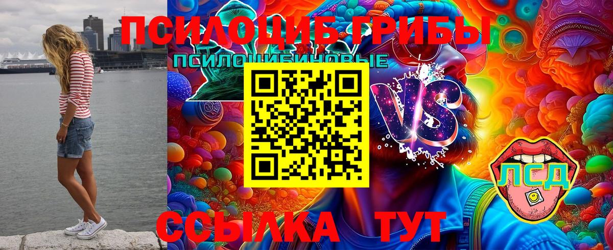 Галлюциногенные грибы Psilocybine cubensis  Вход с VPN  Лесной 