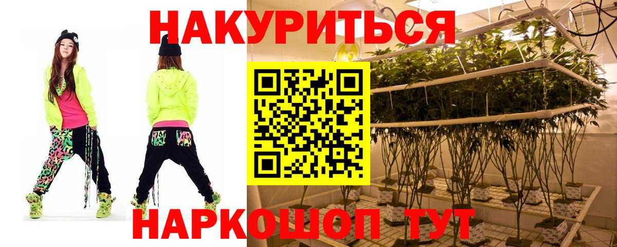 Каннабис марихуана  Вход с VPN  Лесной  Каннабис сатива 